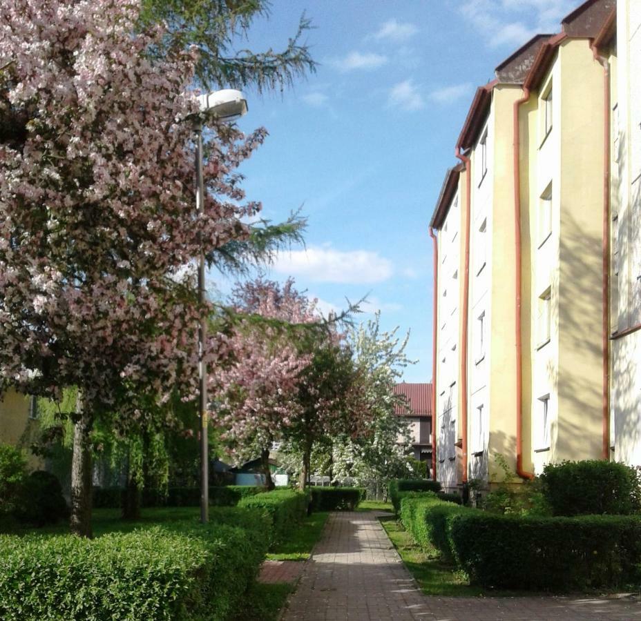 Apartament Jasminowy Apartamento Kudowa-Zdrój Exterior foto